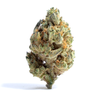 Alien Gorilla Weed Strain | Online Cannabis Clones Toronto