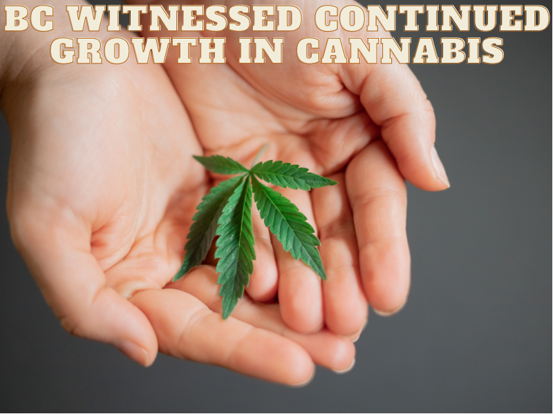 BC witnessed continued growth in cannabis.