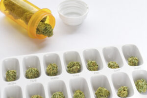 Cannabis Clones and Amyloidosis Exploring Potential Therapeutic Benefits