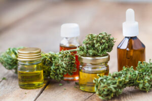 Cannabis Clones and Inflammatory Bowel Diseases Promising Relief