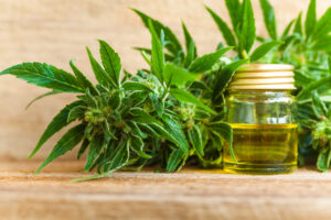 Cannabis Clones and Tourette Syndrome Controlling Tics and Improving Qual