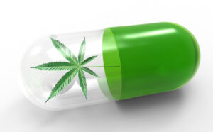 Cannabis Clones for Autoimmune Hepatitis Potential Benefits for Liver Heal