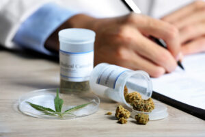 From Roots to Relief The Journey of Cannabis Clones in Medical Treatment