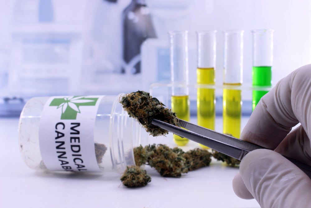 Healing Without High Cannabis Clones for Pediatric Patients