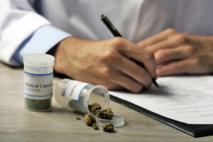 Reversing the Opioid Crisis Cannabis Clones as an Alternative Pain Management