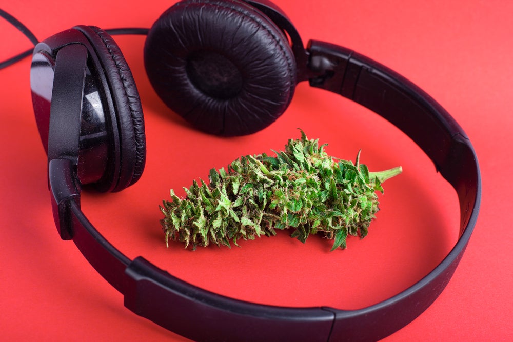 The Role of Music in Cannabis Cloning