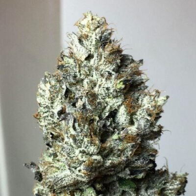 Death Bubba