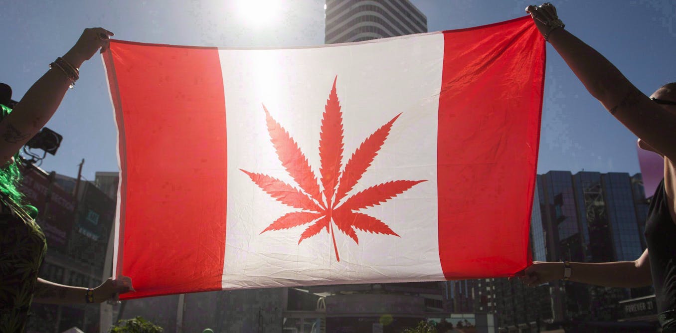 From Snow to Sun: Transitioning Your Cannabis Plants through Canada's Changing Seasons