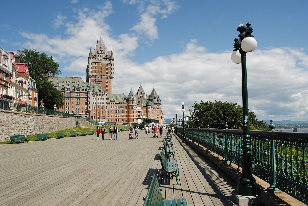 Buy-Cannabis-Clones-Quebec-City