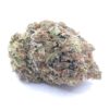 Platinum Rockstar Clones
