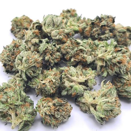 Platinum Rockstar Strain