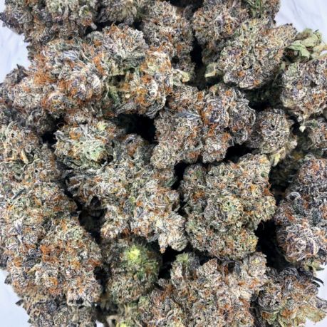 Strawberry Gary Strain