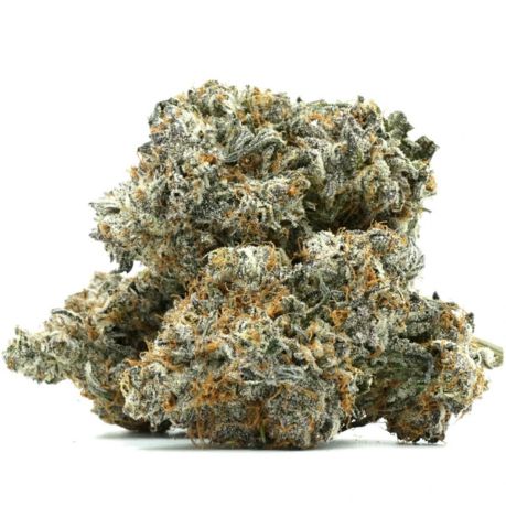 Strawberry Gary Clone