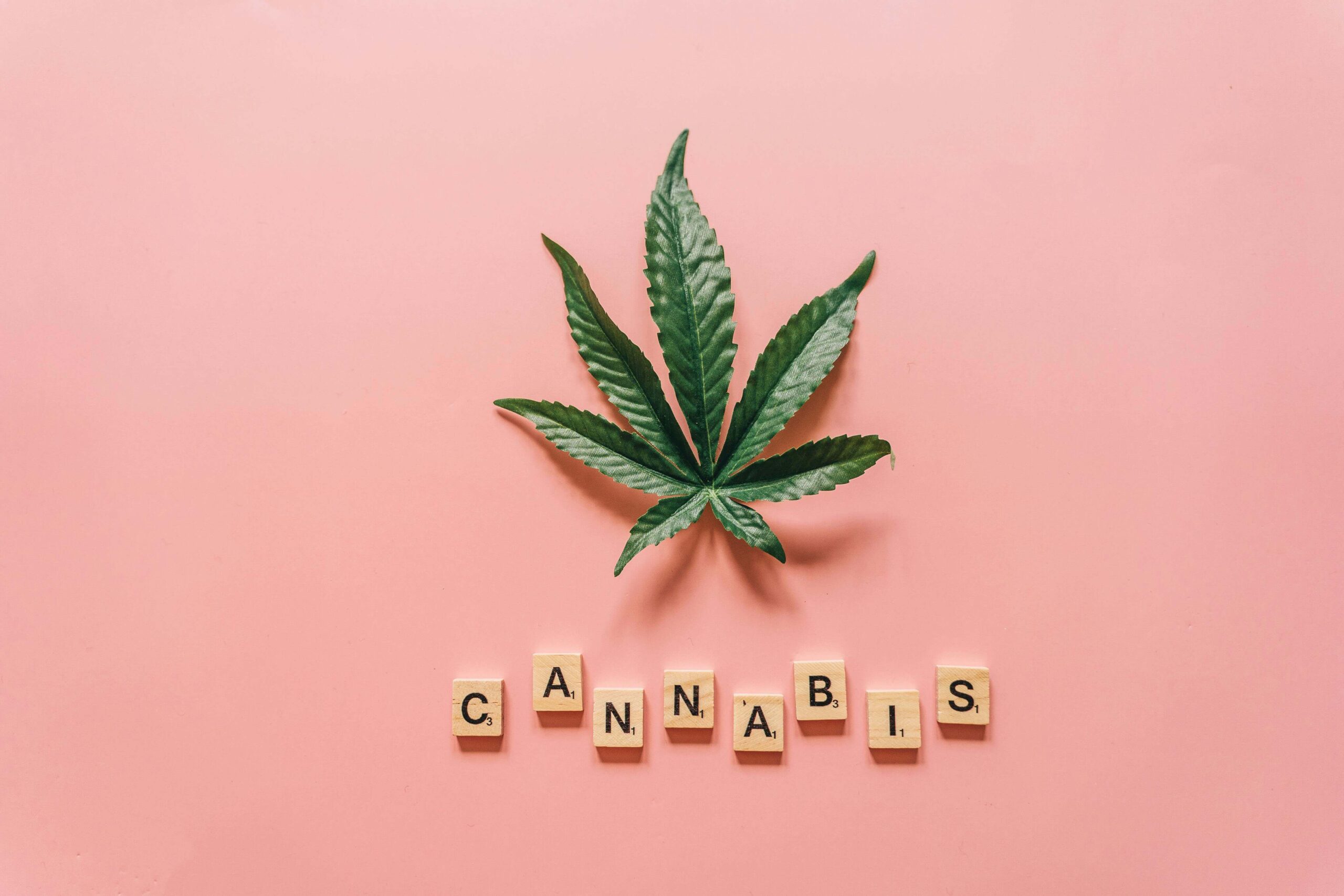 Pre-Order-Your-Cannabis-Clones-from-Mr.-Clones