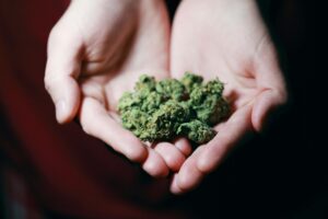 Tips for Choosing the Right Clones