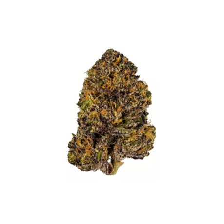Grey Goose Clone
