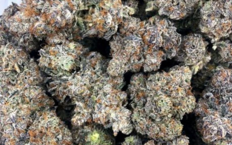 Strawberry Gary Clones